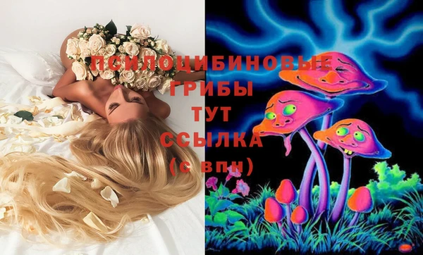 бошки Медвежьегорск