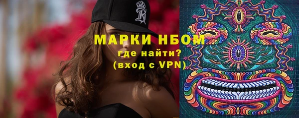 стаф Михайлов