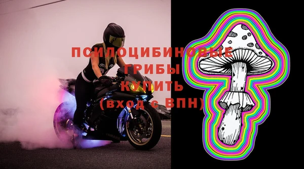 apvp Медногорск