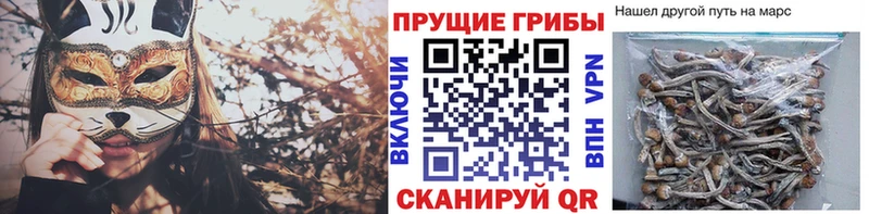 Псилоцибиновые грибы Cubensis  Купить закладки  Краснослободск 