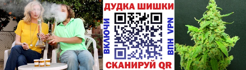 Купить закладки  Краснослободск  Марихуана сатива 